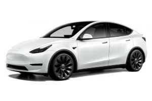 Діагностика Tesla